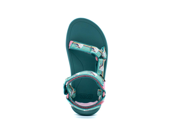 TEVA Hurricane