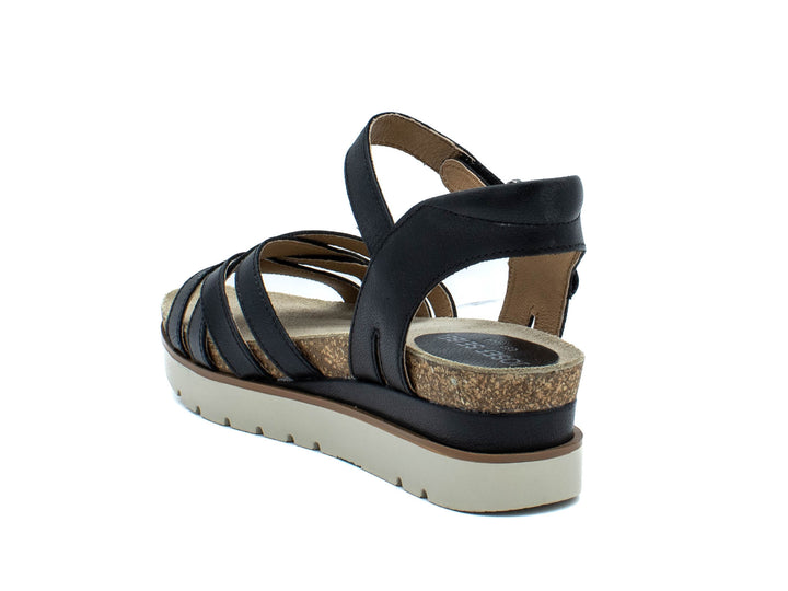 JOSEF SEIBEL Clea 14