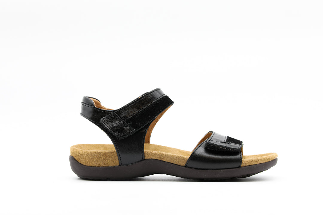 JOSEF SEIBEL Dalia 02