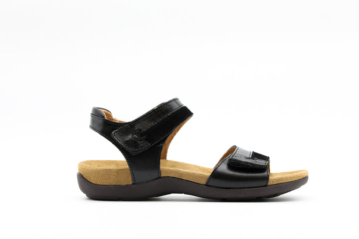 JOSEF SEIBEL Dalia 02