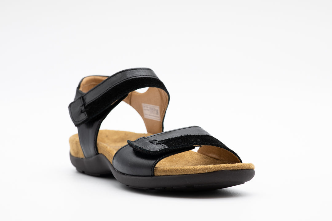 JOSEF SEIBEL Dalia 02