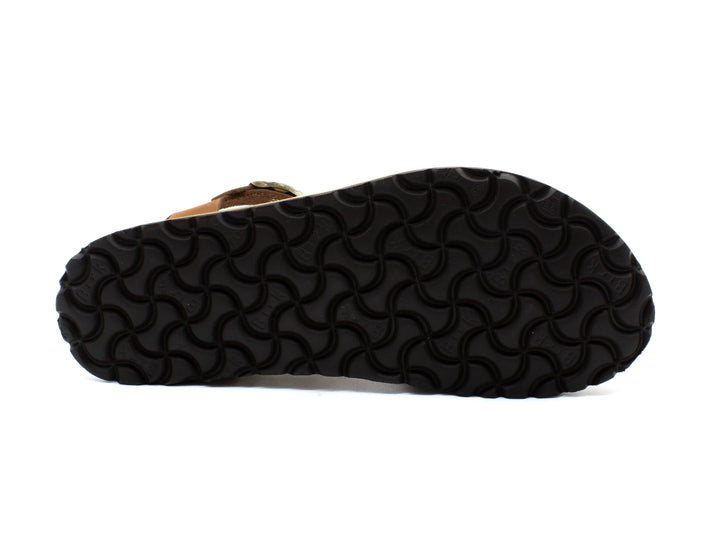 PAPILLIO Glenda Narrow