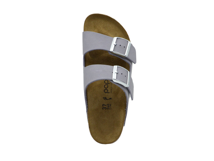 PAPILLIO Arizona Platform