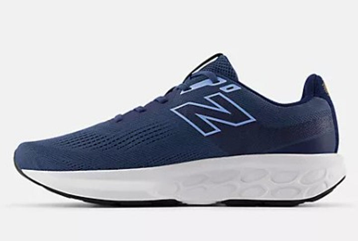 NEW BALANCE FRESH FOAM 520v9