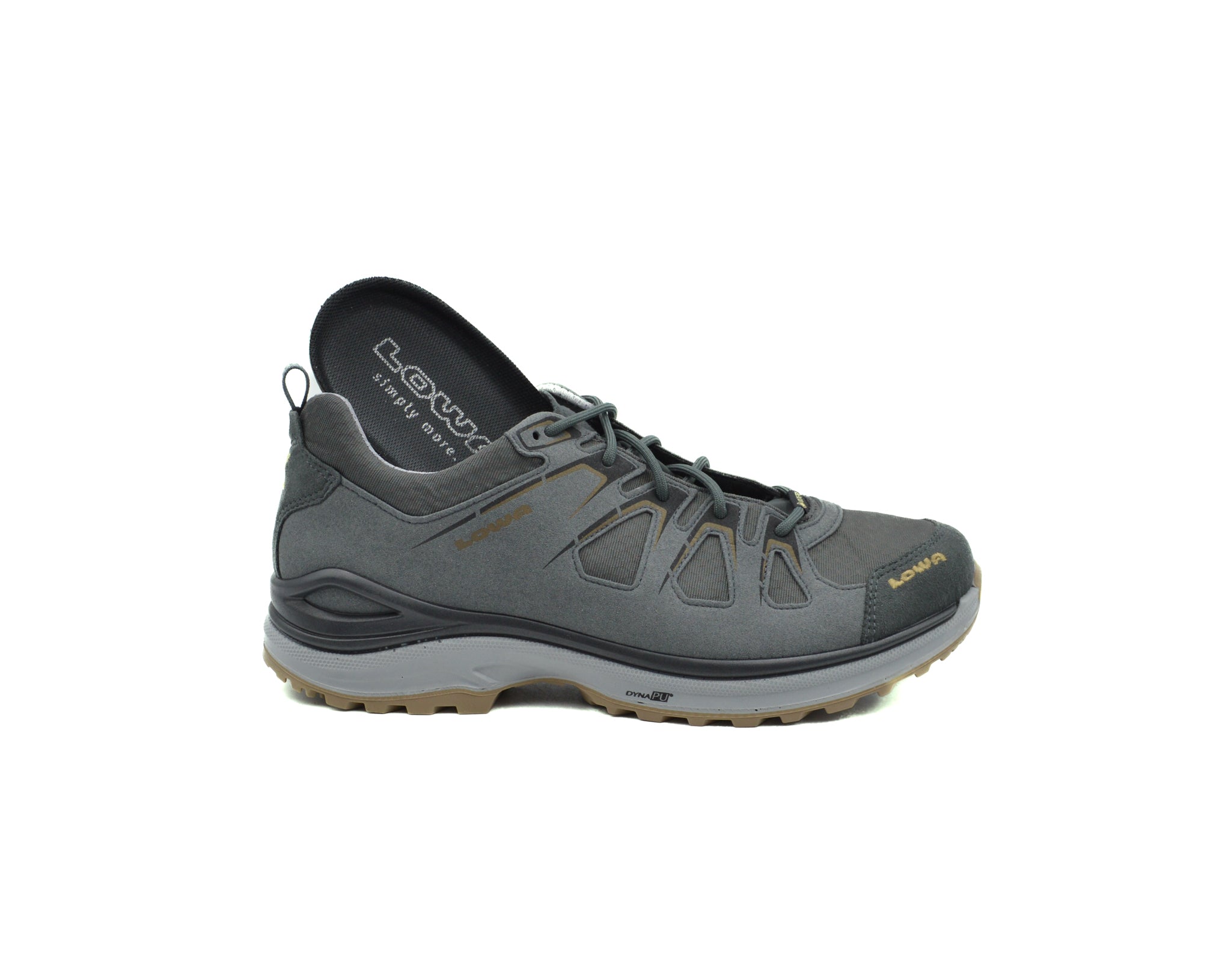 Lowa renegade gtx low on sale mens