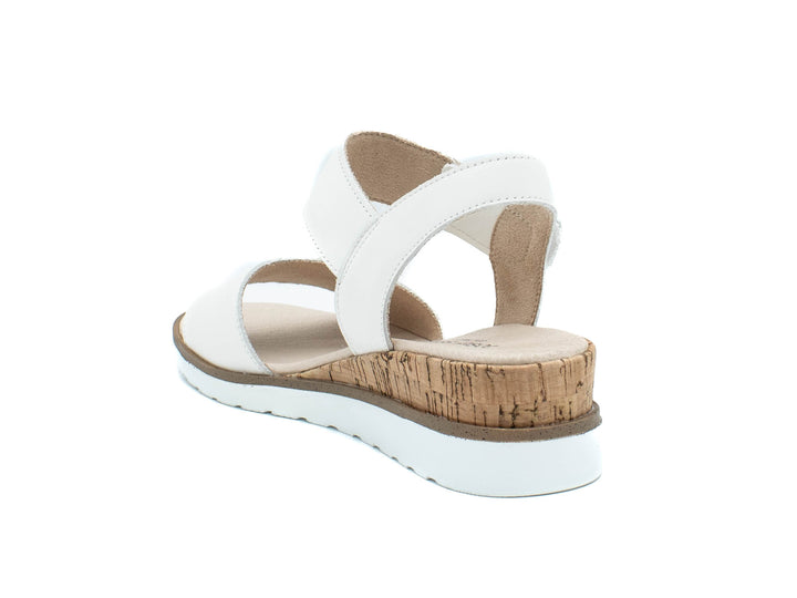 JOSEF SEIBEL Wyatt 01