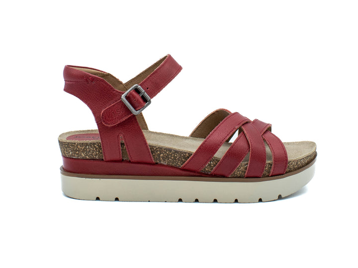 JOSEF SEIBEL Clea 14