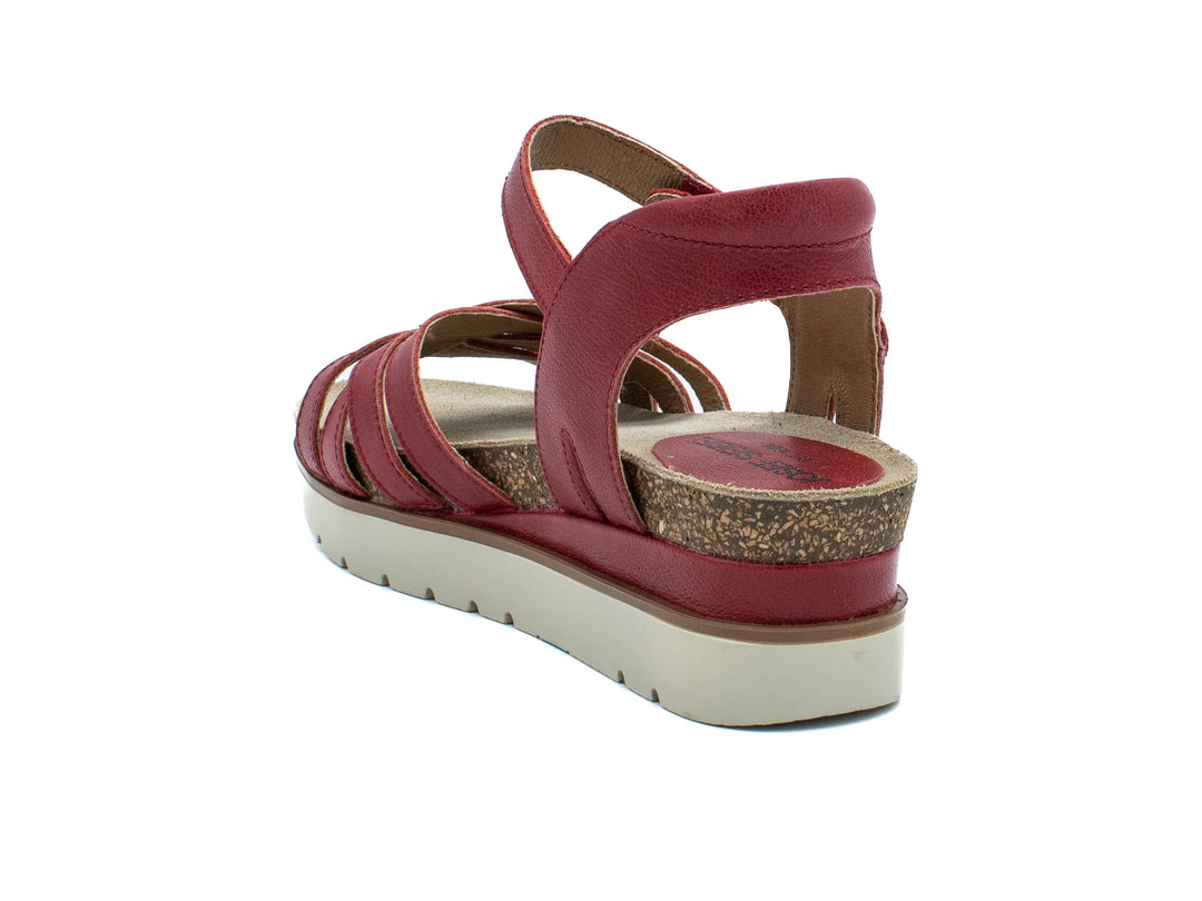 JOSEF SEIBEL Clea 14