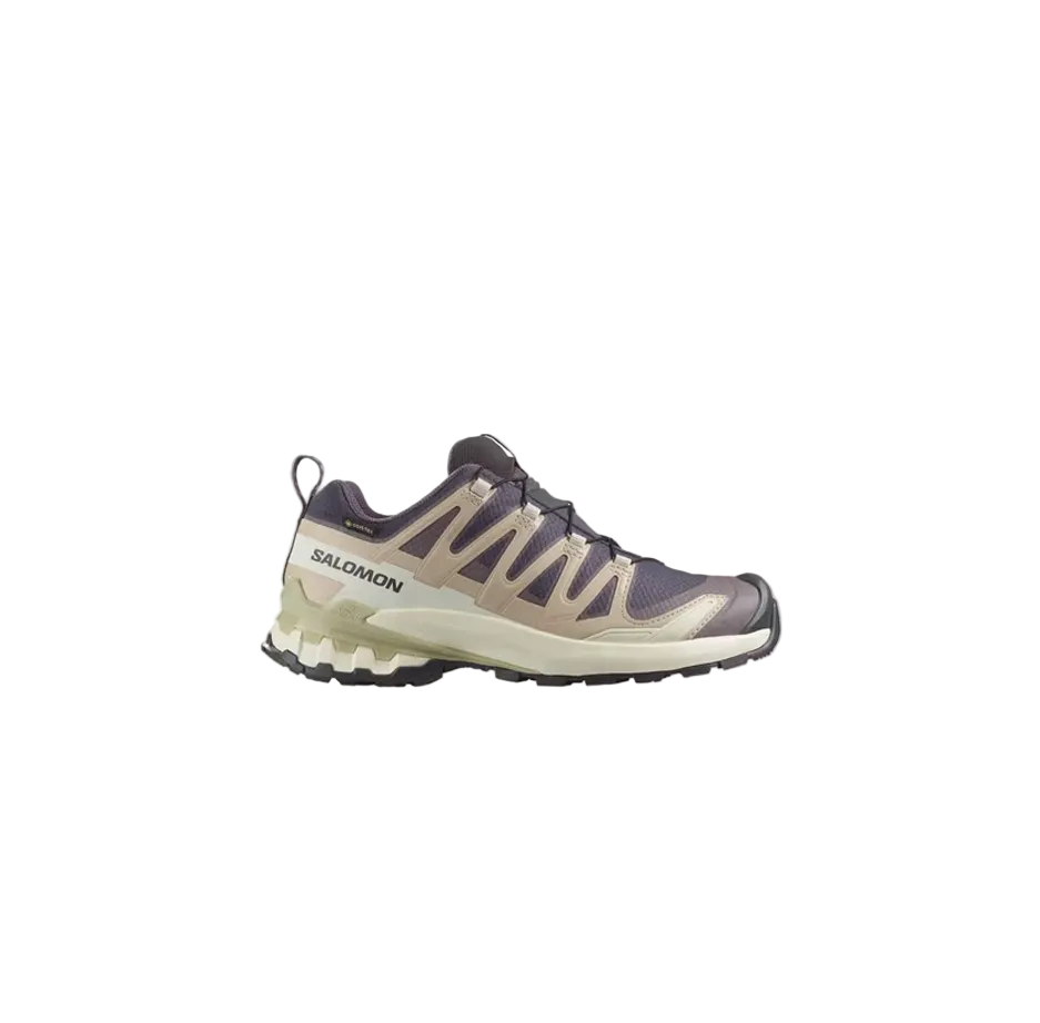 SALOMON XA PRO 3D V9 GORE-TEX