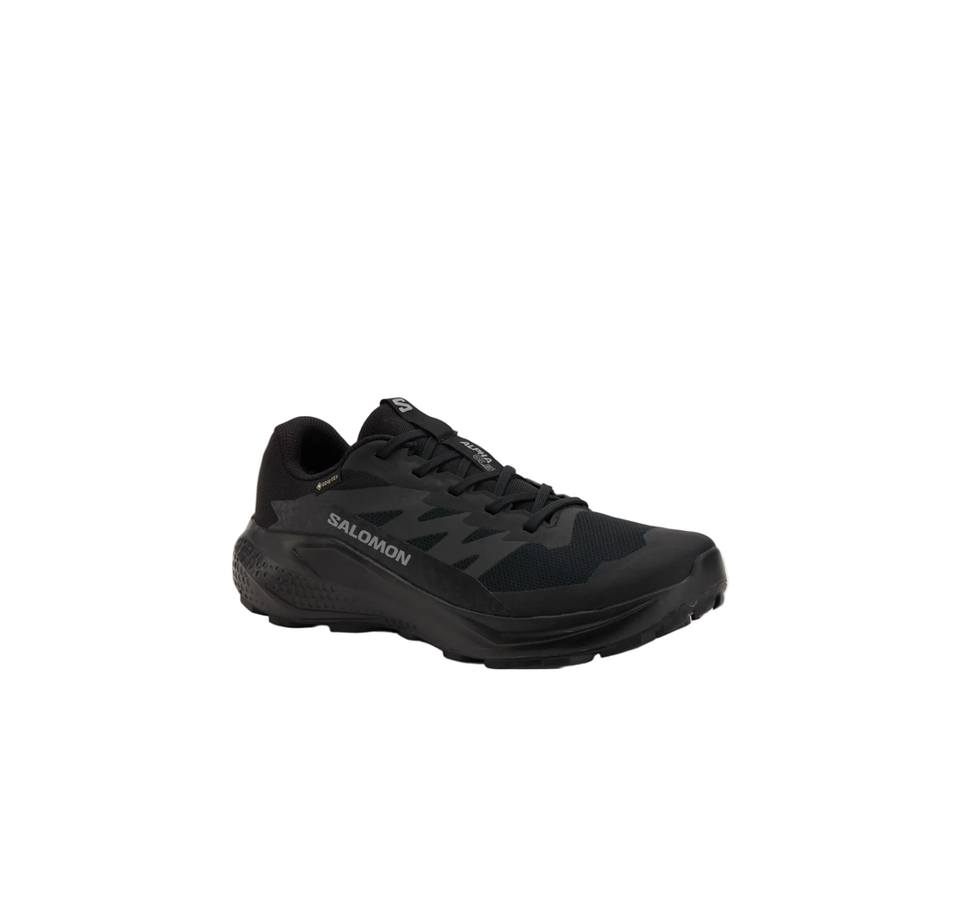 SALOMON Alphaglide GTX