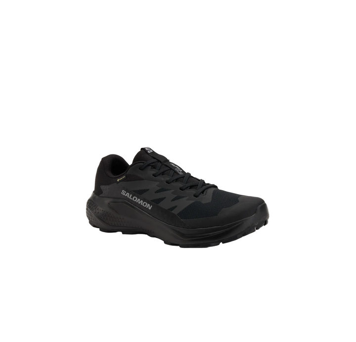 SALOMON Alphaglide GTX