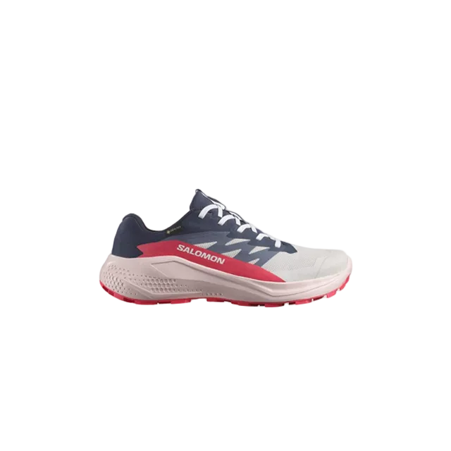 SALOMON Alphaglide GTX