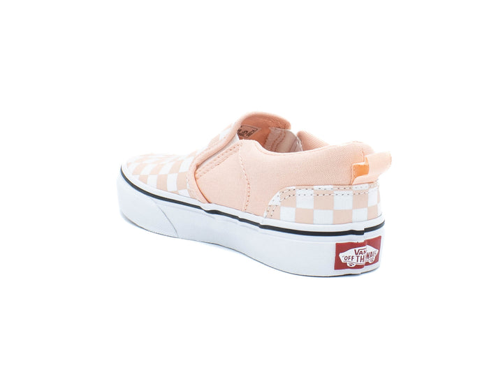 VANS Asher
