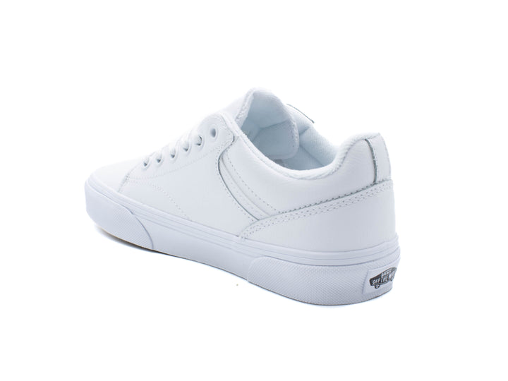 VANS Seldan Low Top