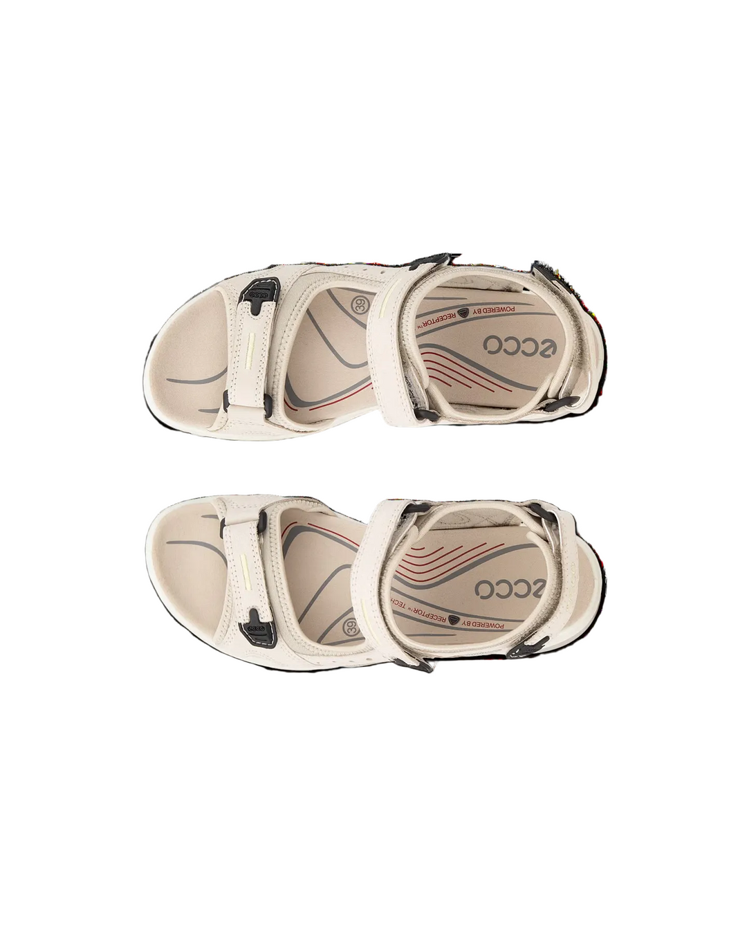 ECCO Offroad